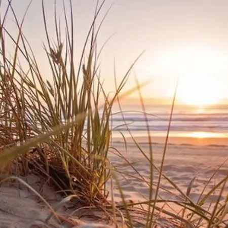 別荘 De Bosuil By Interhome