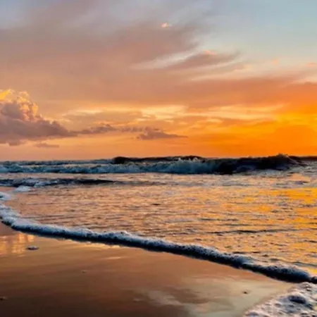 De Bosuil By Interhome ノールトウェイク