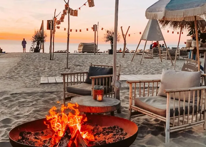 度假居 De Bosuil By Interhome 诺德韦克