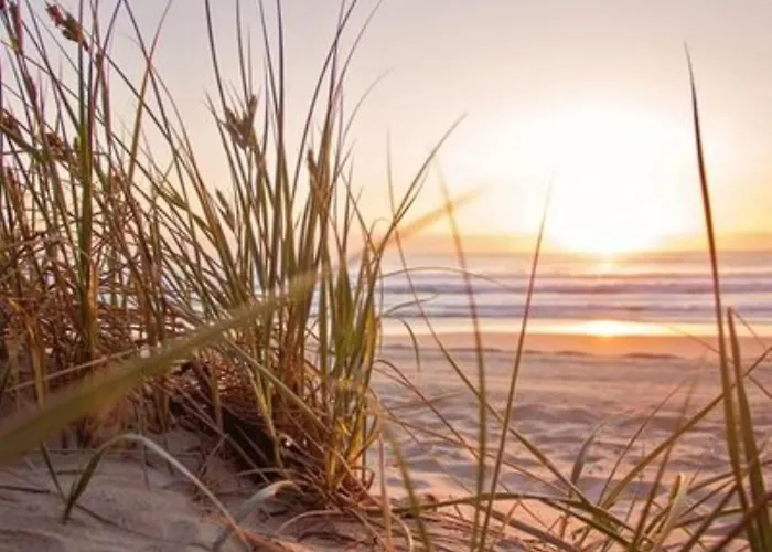 度假居 De Bosuil By Interhome