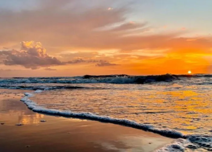 De Bosuil By Interhome Noordwijk